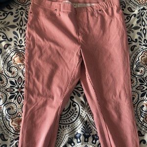 Terra sky women’s ankle pants